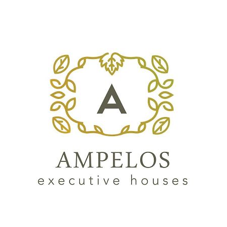 Ampelos Executive Houses Pyrgos Kallistis Exterior photo