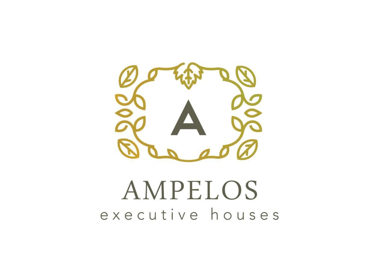 Ampelos Executive Houses Pyrgos Kallistis Exterior photo